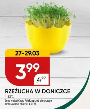 Chata Polska RZEŻUCHA W DONICZCE oferta