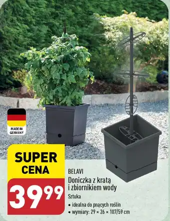 ALDI BELAVI Doniczka z kratą i zbiornikiem wody oferta