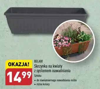ALDI BELAVI Skrzynka na kwiaty z systemem nawadniania oferta