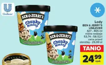 Carrefour Lody BEN & JERRY'S UNILEVER 427-465 ml oferta