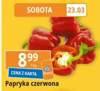 E.Leclerc Papryka czerwona 1kg oferta