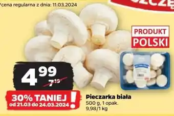 Netto Pieczarka biała 500 g oferta