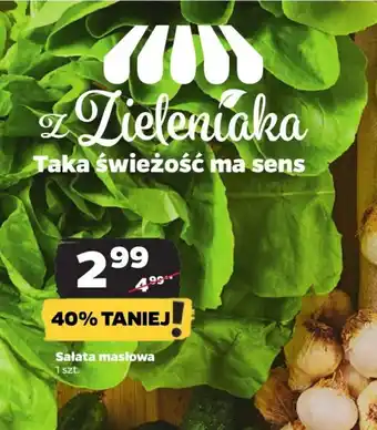 Netto Sałata masłowa 1 szt. oferta