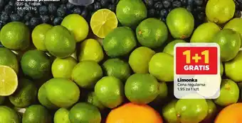 Netto Limonka oferta