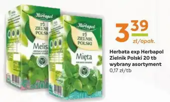 Gama Herbata exp Herbapol Zielnik Polski 20 tb oferta