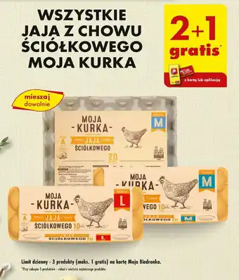 Biedronka WSZYSTKIE JAJA Z CHOWU ŚCIÓŁKOWEGO oferta