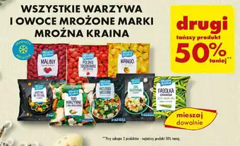 Biedronka WSZYSTKIE WARZYWA I OWOCE MROŻONE MARKI MROŹNA KRAINA oferta