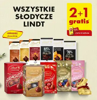 Biedronka WSZYSTKIE SŁODYCZE LINDT oferta