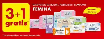 Biedronka WSZYSTKIE WKŁADKI, PODPASKI I TAMPONY FEMINA oferta