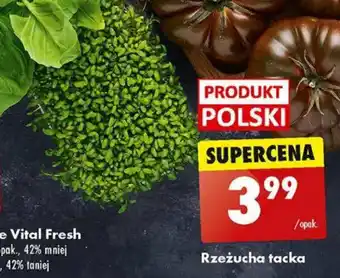 Biedronka Rzeżucha tacka oferta