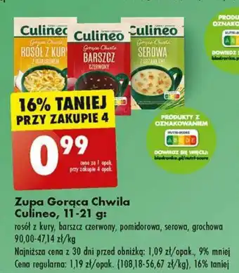Biedronka Zupa Gorąca Chwila Culineo 11-21 g oferta
