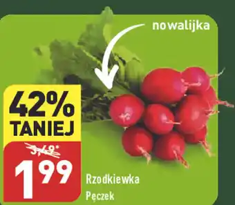 ALDI Rzodkiewka Pęczek oferta