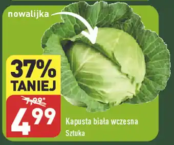ALDI Kapusta biała wczesna Sztuka oferta