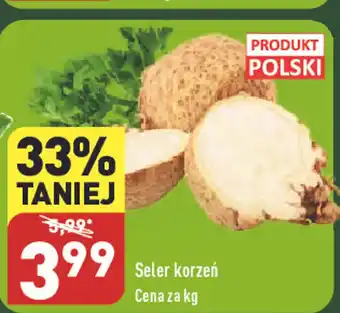 ALDI Seler korzeń 1kg oferta