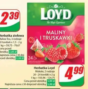 Dino Herbatka Loyd oferta