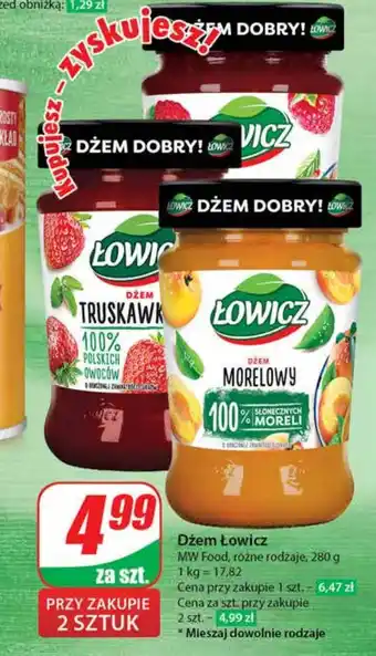 Dino Dżem Łowicz oferta