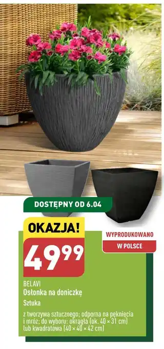 ALDI Osłonka Ok oferta