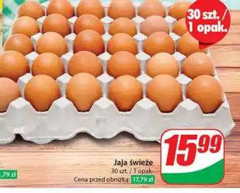 Dino Jaja oferta