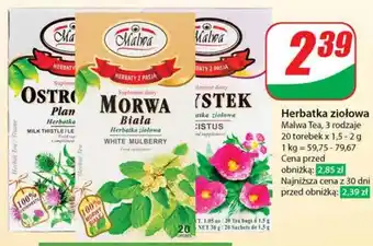 Dino Morwa biała Malwa oferta
