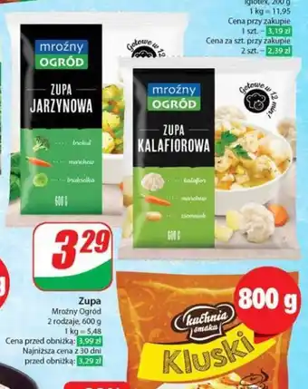 Dino Zupa 600 g oferta