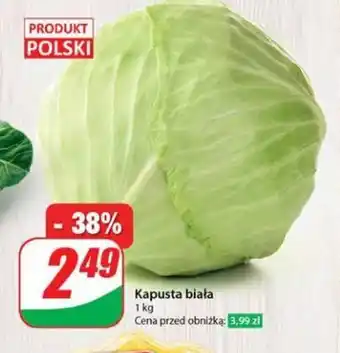 Dino Kapusta biała 1 kg oferta