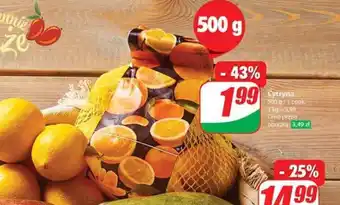 Dino Cytryna 500 g/1 opak. oferta