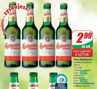 Dino Piwo Budweiser 330 ml oferta