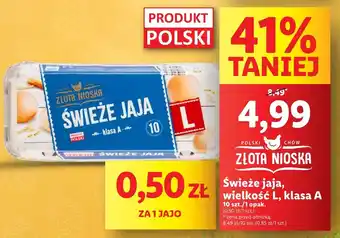 Lidl Jaja Złota nioska oferta