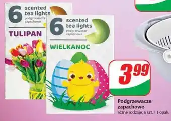 Podgrzewacze zapachowe