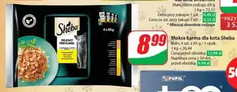 Dino Mokra karma dla kota Sheba 4 x 85 g oferta