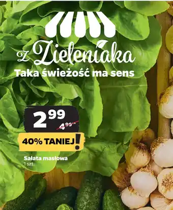 Netto Sałata masłowa oferta