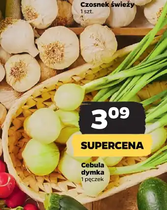 Netto Cebula dymka oferta