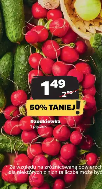 Netto Rzodkiewka oferta