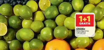 Netto Limonka oferta
