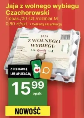 Delikatesy Centrum Jaja z wolnego wybiegu Czachorowski 20szt. oferta