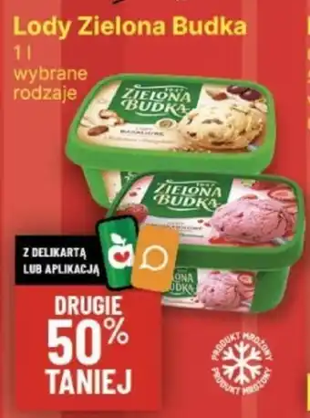 Delikatesy Centrum Lody Zielona Budka 1l oferta
