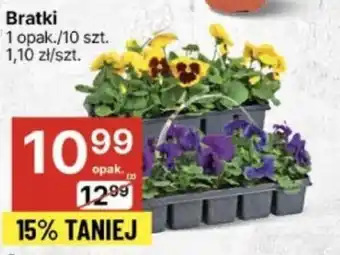 Bratki 10szt.