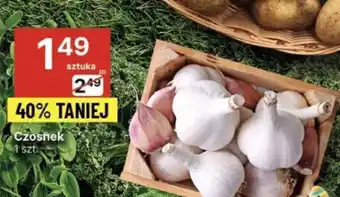 Delikatesy Centrum Czosnek 1 szt. oferta