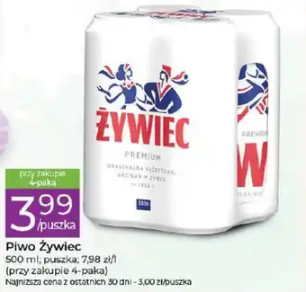 Stokrotka Piwo Żywiec 500ml oferta
