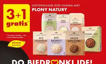 Biedronka WSZYSTKIE KASZE, RYŻE I NATURAL MIXY PLONY NATURY oferta