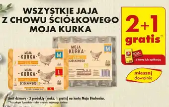 Biedronka WSZYSTKIE JAJA Z CHOWU ŚCIÓŁKOWEGO oferta