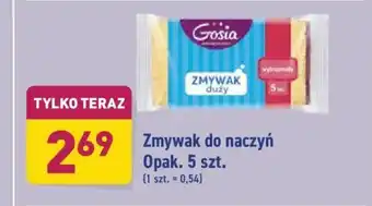 ALDI Zmywak do naczyń 5szt. oferta