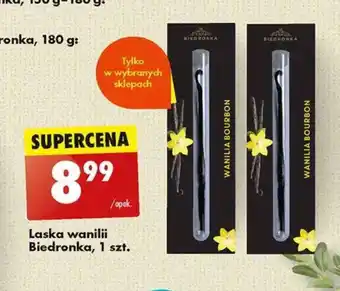 Biedronka Laska wanilii Biedronka, 1 szt. oferta