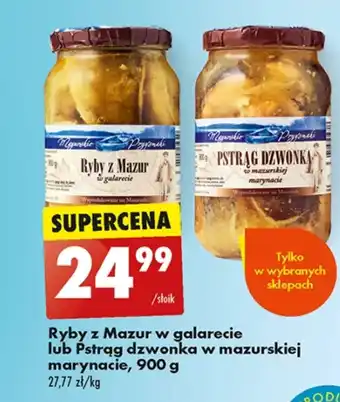 Biedronka Ryba Mazurskie Przysmaki oferta