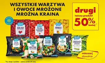 Biedronka WARZYWA I OWOCE MROŻONE MROŹNA KRAINA oferta