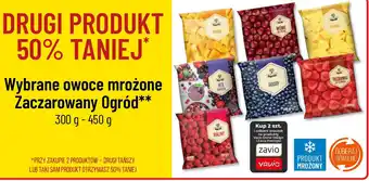 Polomarket Owoce mrożone Zaczarowany Ogród 300 g - 450 g oferta