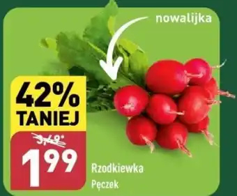 ALDI Rzodkiewka Pęczek oferta