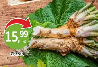 Chrzan 1 kg
