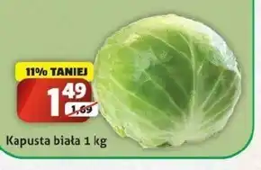 Sedal Kapusta biała oferta