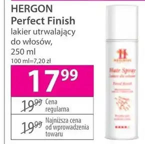 Hebe Lakier do włosów Finish oferta